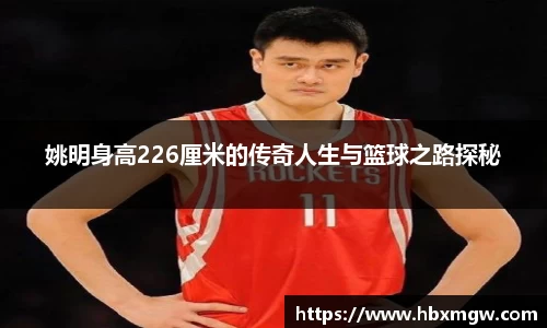 姚明身高226厘米的传奇人生与篮球之路探秘
